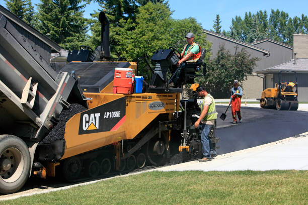 Best Driveway Pavers Near Me  in Hillandale, MD